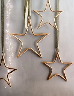 Dijk Natural Collections kerstster Seren beige D 37 H 1 cm