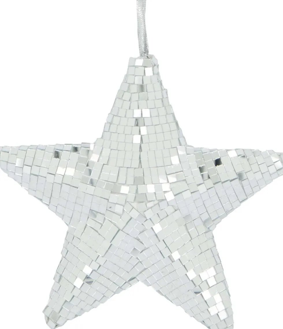 Dijk Natural Collections kerstster zilver D 18 H 6 cm