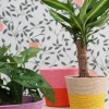 Duif plantenmand Riley naturel / geel D 19 H 16 cm