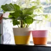 Duif plantenmand Riley roze / oranje D 14 H 11 cm