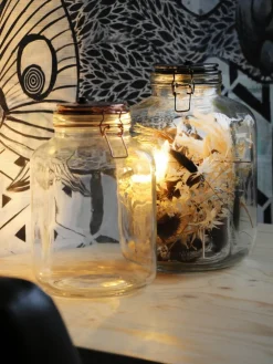 Duif terrarium Liz met LED transparant D 17 H 27 cm