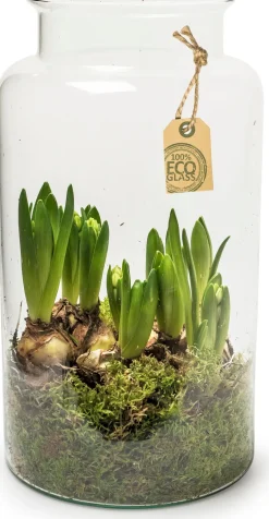 Eco fles Nobles D 19 H 35 cm