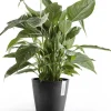 Ecopots bloempot Amsterdam donkergrijs D 20 H 17,1 cm