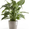 Ecopots bloempot Amsterdam taupe D 20 H 17,1 cm