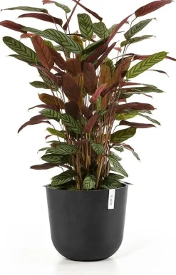 Ecopots bloempot Oslo donkergrijs D 35 H 30,5 cm