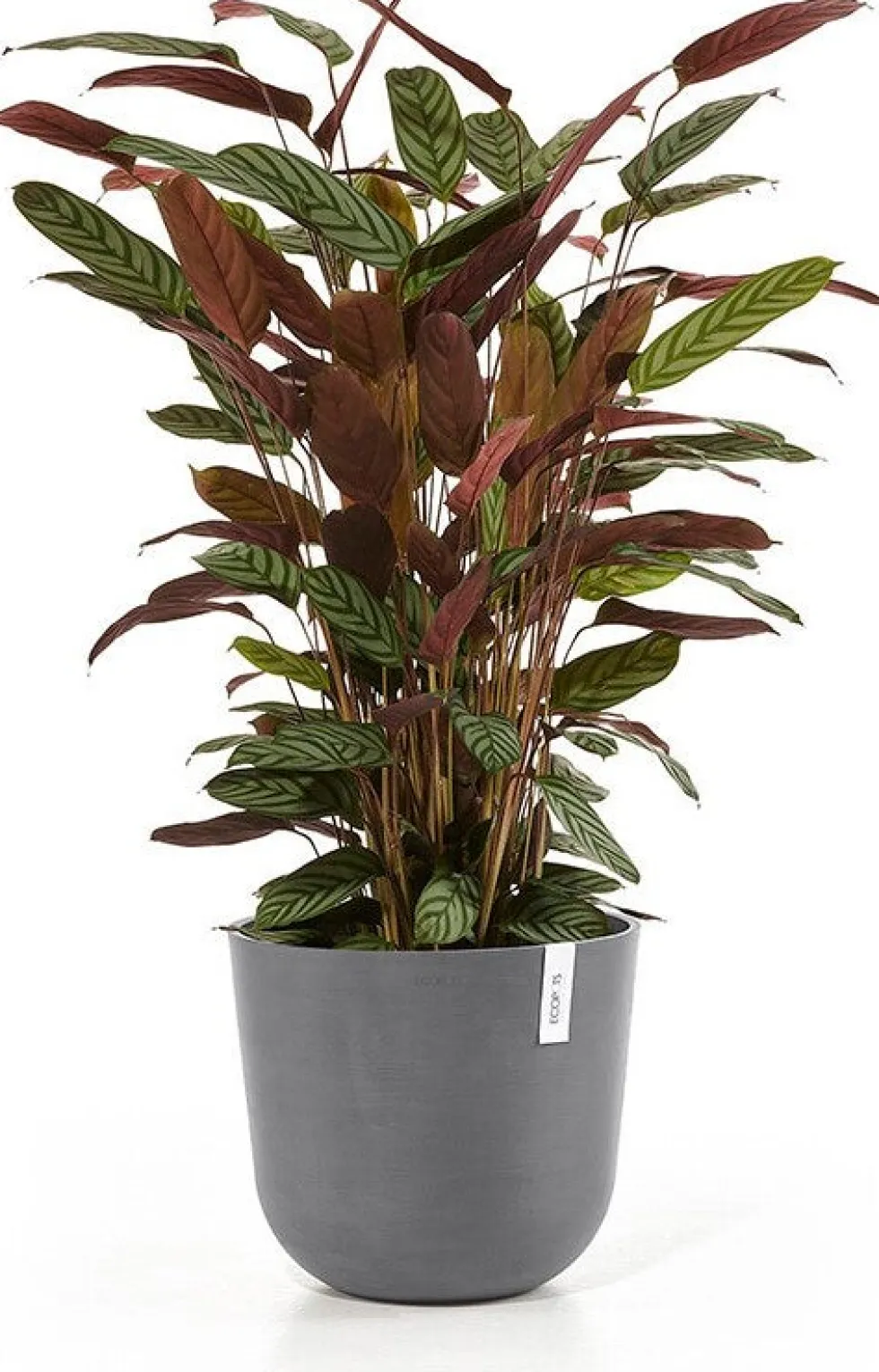 Ecopots bloempot Oslo grijs D 35 H 30,5 cm
