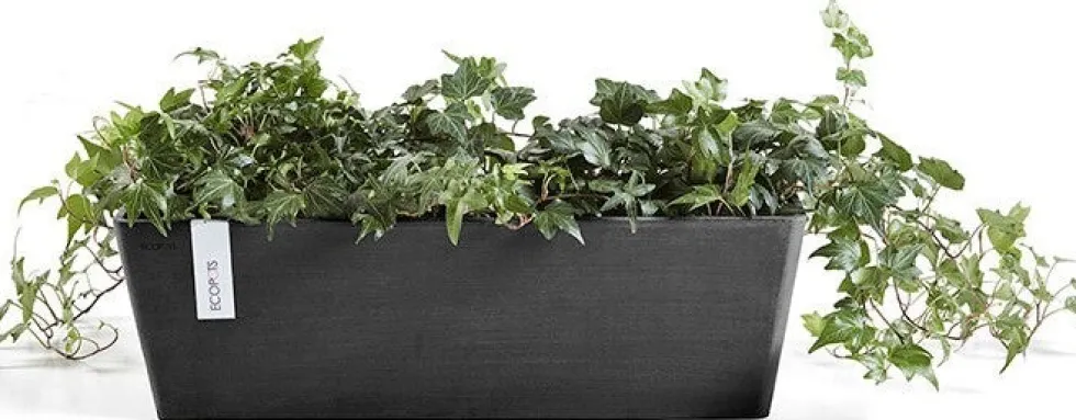 Ecopots plantenbak Bruges donkergrijs 65 x 20 x 20 cm