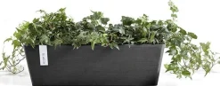 Ecopots plantenbak Bruges donkergrijs 45 x 17 x 17 cm