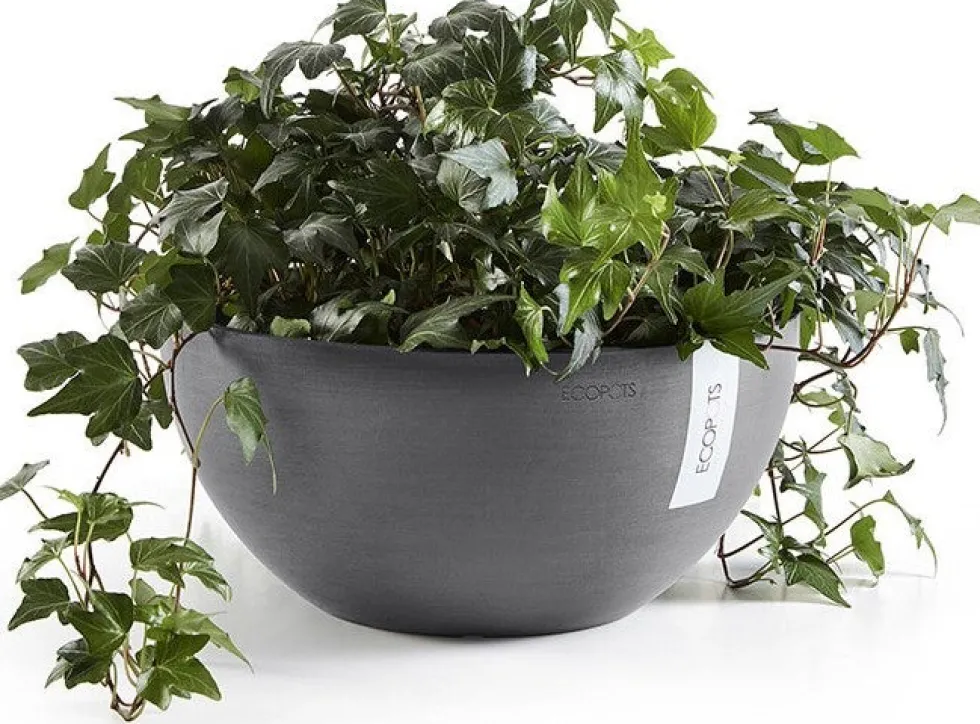 Ecopots plantenschaal Brussels grijs D 25 H 12 cm
