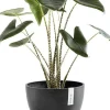Ecopots plantenschotel Amsterdam donkergrijs D 44,5 H 3,5 cm