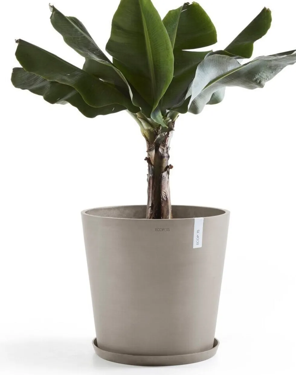 Ecopots plantenschotel Amsterdam taupe D 44,5 H 3,5 cm