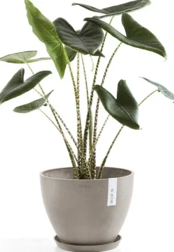 Ecopots plantenschotel Amsterdam taupe D 44,5 H 3,5 cm