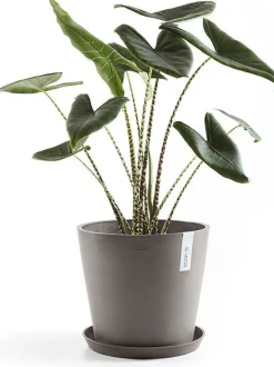 Ecopots plantenschotel Amsterdam taupe D 36,5 H 3,5 cm