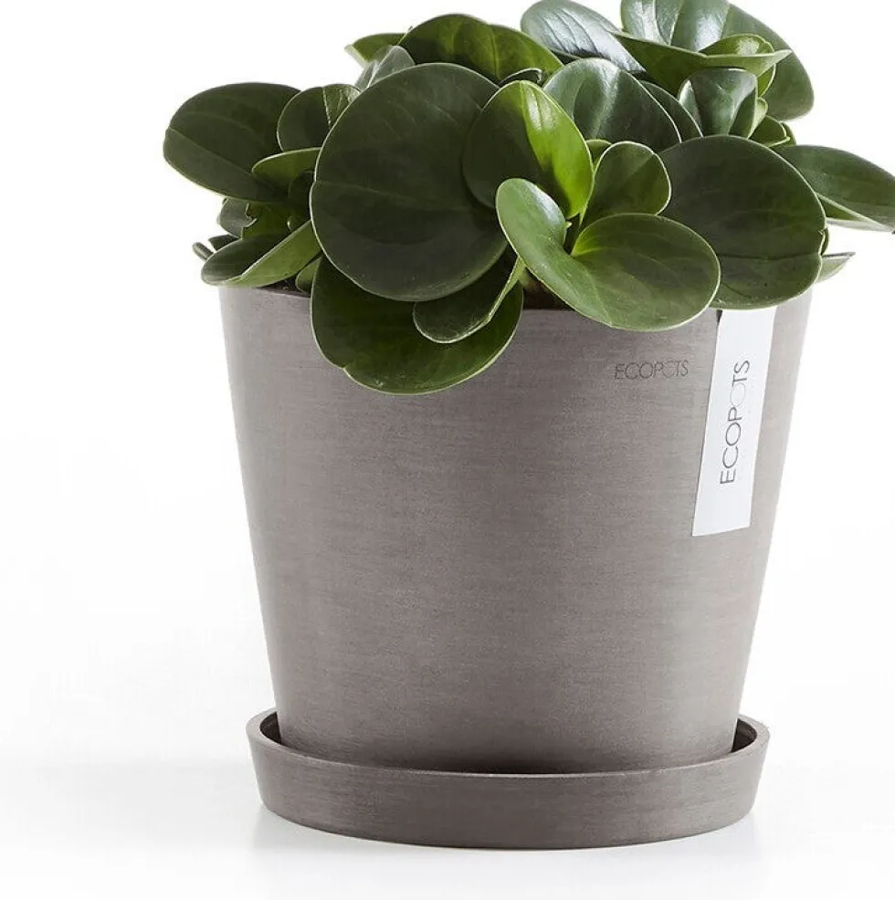 Ecopots plantenschotel Amsterdam taupe D 18 H 2,5 cm