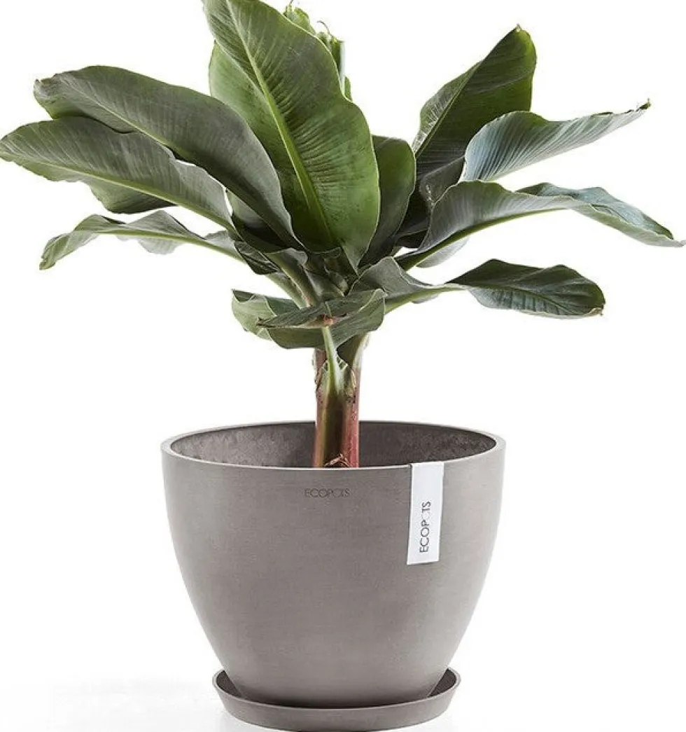 Ecopots plantenschotel Amsterdam taupe D 28,7 H 3 cm