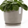 Ecopots plantenschotel Amsterdam taupe D 21 H 2,5 cm
