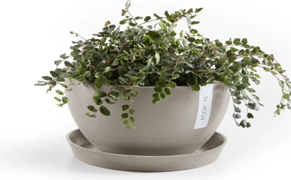 Ecopots plantenschotel Amsterdam taupe D 21 H 2,5 cm