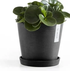 Ecopots plantenschotel Amsterdam donkergrijs D 18 H 2,5 cm