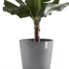 Ecopots plantenschotel Amsterdam grijs D 44,5 H 3,5 cm
