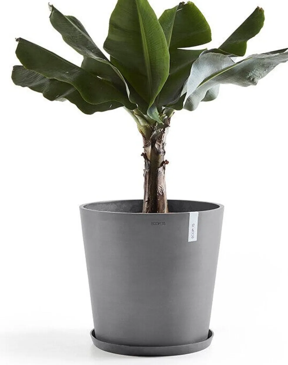 Ecopots plantenschotel Amsterdam grijs D 44,5 H 3,5 cm