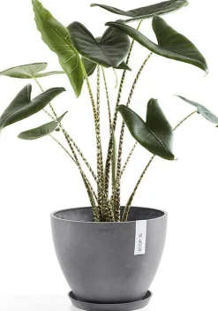Ecopots plantenschotel Amsterdam grijs D 44,5 H 3,5 cm