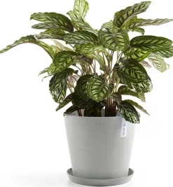 Ecopots plantenschotel Amsterdam wit grijs D 28,7 H 3 cm