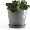 Ecopots plantenschotel Amsterdam grijs D 18 H 2,5 cm