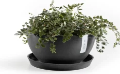 Ecopots plantenschotel Amsterdam donkergrijs D 21 H 2,5 cm