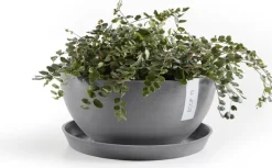 Ecopots plantenschotel Amsterdam grijs D 21 H 2,5 cm
