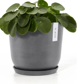 Ecopots plantenschotel Amsterdam grijs D 21 H 2,5 cm