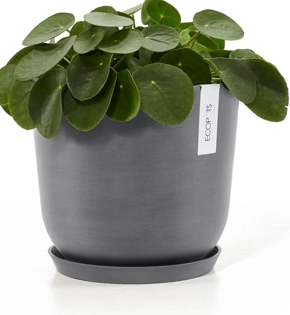 Ecopots plantenschotel Amsterdam grijs D 21 H 2,5 cm