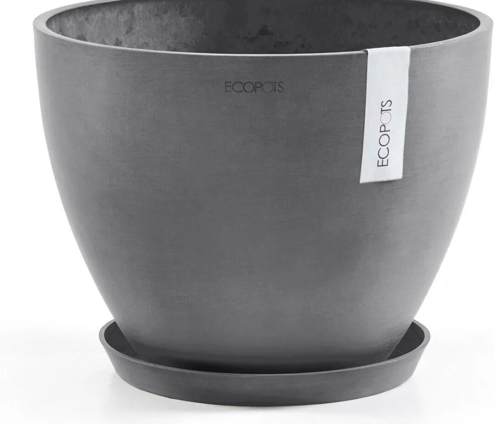 Ecopots plantenschotel Amsterdam grijs D 21 H 2,5 cm
