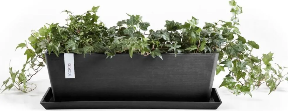 Ecopots plantenschotel Bruges donkergrijs 67,3 x 15,5 x 2,8 cm
