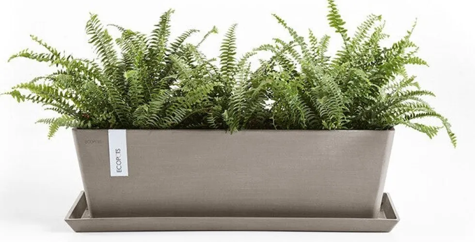 Ecopots plantenschotel Bruges taupe 47,3 x 19,5 x 2,6 cm