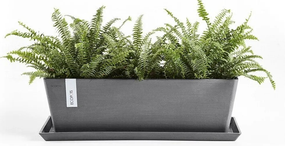 Ecopots plantenschotel Bruges grijs 47,3 x 19,5 x 2,6 cm