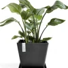 Ecopots plantenschotel Rotterdam donkergrijs 28 x 28 x 3 cm