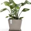 Ecopots plantenschotel Rotterdam taupe 28 x 28 x 3 cm