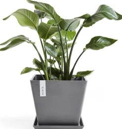 Ecopots plantenschotel Rotterdam grijs 28 x 28 x 3 cm