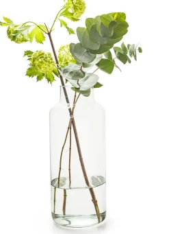 Eco vaas Gigi transparant D 14,5 H 30 cm