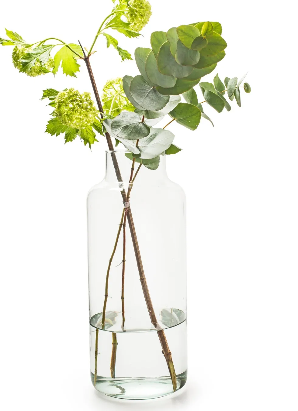 Eco vaas Gigi transparant D 14,5 H 30 cm