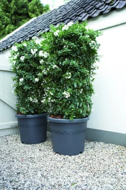 Elho Algarve cilindro wielen 40cm antraciet