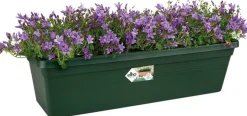 Elho balkonbak Green Basics groen 48,8 x 16,5 x 14 cm