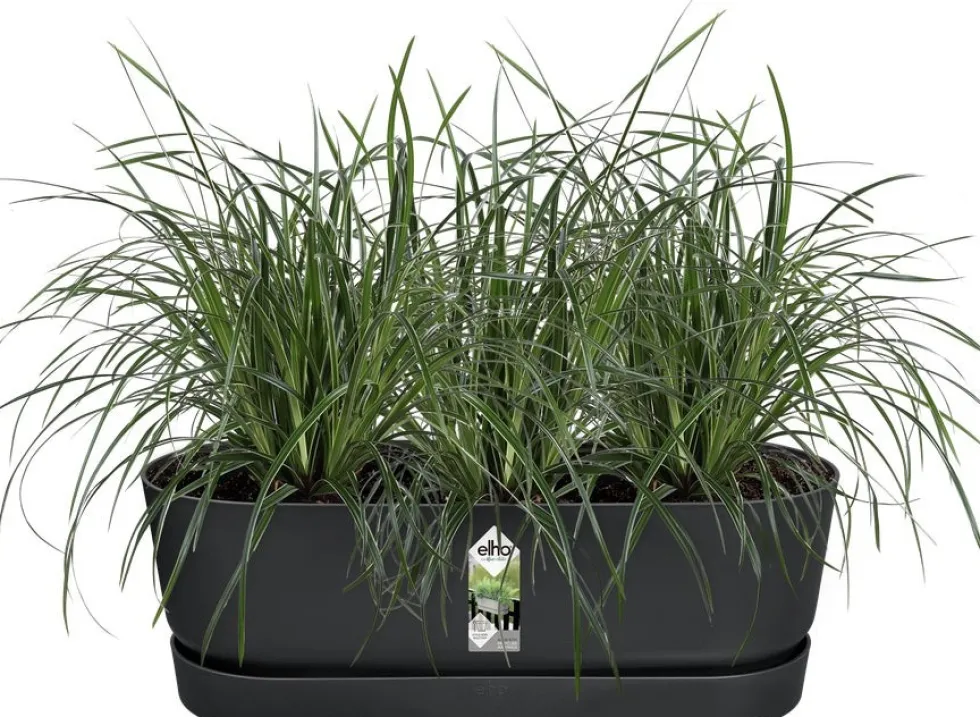 Elho balkonbak met waterreservoir Greenville zwart 52 x 21,2 x 19,4 cm