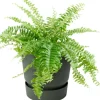 Elho balkonbak met waterreservoir Greenville groen D 25,1 H 23,7 cm