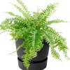 Elho balkonbak met waterreservoir Greenville zwart D 25,1 H 23,7 cm