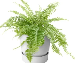 Elho balkonbak met waterreservoir Greenville wit D 19,5 H 23 cm