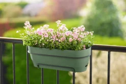 Elho balkonbak Vibia Campana groen 70,4 x 26 x 17,7 cm