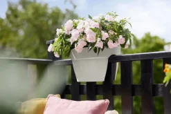 Elho balkonbak Vibia Campana Flower Bridge wit 39 x 26 x 22 cm