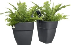 Elho balkonbak Vibia Campana Flower Twin antraciet 20,5 x 38,4 x 26,5 cm