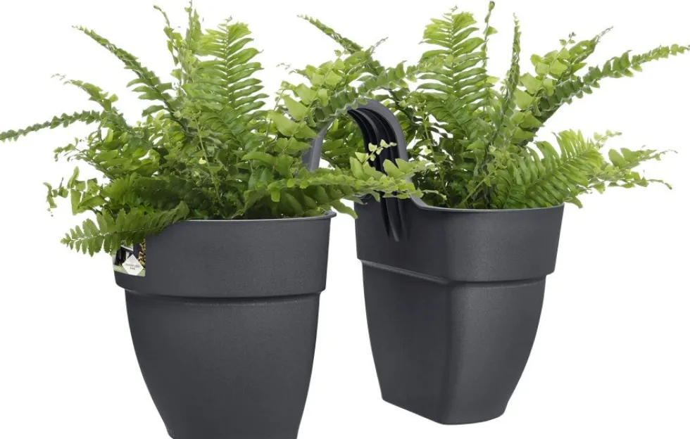 Elho balkonbak Vibia Campana Flower Twin antraciet 20,5 x 38,4 x 26,5 cm